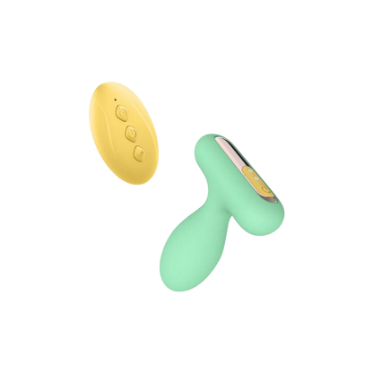 Nest Vibrating Bullet Set