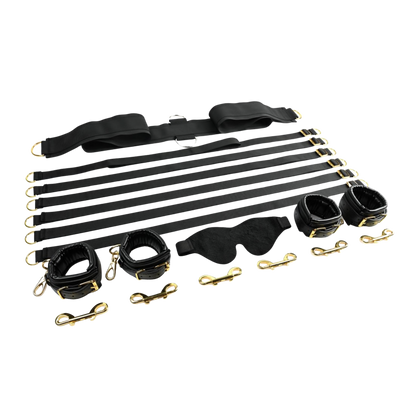 Special Edition Under the Bed Restraint System®